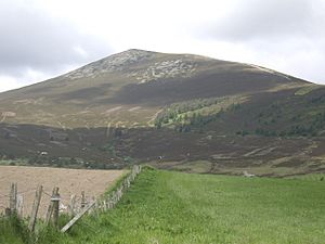 View to Ben Rinnes - geograph.org.uk - 1339405