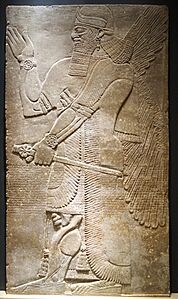 Winged protective deity, Northwest Palace at Calakh, Northern Iraq, Assyrian, reign of Assurnasirpal II, 883-859 BC, alabaster - Museum of Fine Arts, Boston - DSC02821