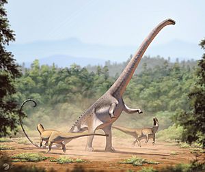 Barosaurus lentus1