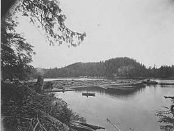 Clark and Lyford, Ltd standing boom in the southwest arm of Booker Lagoon, Broughton Island, British Columbia, June 16, 1917 (AL+CA 7778)
