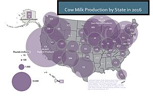 Cowmilkproduction