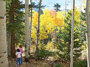 Girls Hiking in Aspens, Mosca Pass, Great Sand Dunes National Preserve (12660113605)