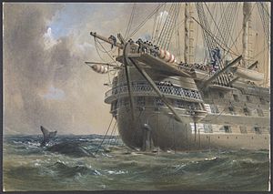 H.M.S. Agamemnon Laying the Atlantic Telegraph Cable in 1858- a Whale Crosses the Line MET DP801262.jpg