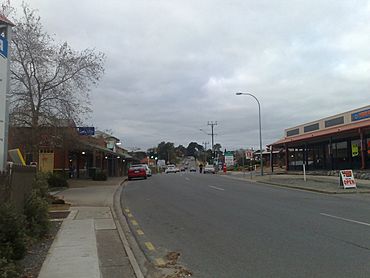South Road, Old Reynella facing North.jpg