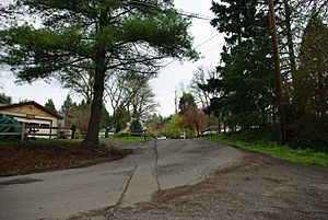 Street in Shadowood, Oregon