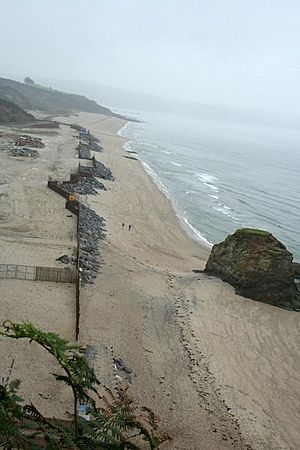 The beach and its temporary reinforced sea wall - geograph.org.uk - 495307