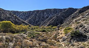 Big Morongo Canyon, Canyon Trail