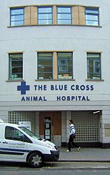 Blue Cross Animal Hospital, Hugh Street, London SW1 - geograph.org.uk - 739535