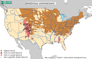 HUC Dispersal Map - Catostomus commersonii.png