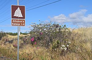 Kalaoa road sign