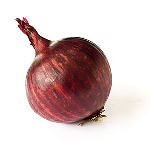 Red Onion on White.JPG