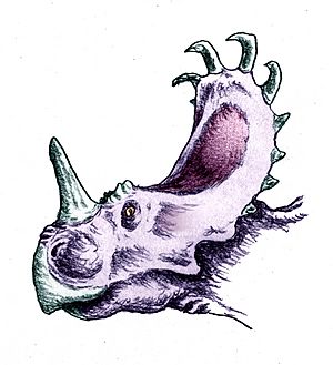 Sinoceratops zhuchengensis
