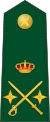 Spain-Civil Guard-OF-7.svg