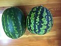 Watermelon grown in Buryatia, Siberia