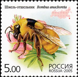 2005. Марка России stamp hi12612325014b2ce1752cdd2