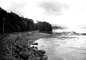 A bit of the Illawarra Coast from The Powerhouse Museum