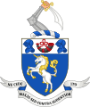 Coat of Arms of Roxburghshire County Council 1890-1962