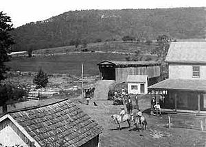 Cootes Store in 1895