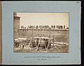 Execution of the Lincoln Assassination Conspirators. The Scaffold. (5614321918)