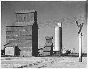 Haskell County, Kansas (Sublette). Grain elevators near the depot in Sublette. If there should be a . . . - NARA - 522073