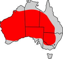 Macropus rufus distribution