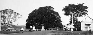 Queensland State Archives 239 Tewantin War Memorial Town Square Tewantin c 1931