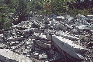 Tuscarora Formation outcrop 1.jpg