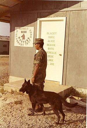 War Dog, Vietnam, circa 1970