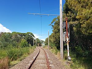 2020-04-19 Royal National Park railway line, Sydney
