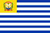 Flag of El Tigre