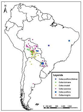 Distribución de especies de Ceibas