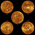 Magellan Venus globes
