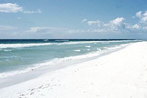 Pensacola Beach 1957 White Sand