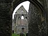 Valle Crucis Abbey Ruins - geograph.org.uk - 1242421.jpg