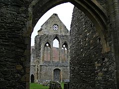 Valle Crucis Abbey Ruins - geograph.org.uk - 1242421