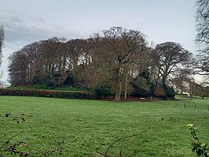 Wooded hill of Castleknock Castle