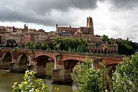 Albi featuring the Sainte-Cécile cathedral and the Pont Vieux (old bridge) over the river Tarn.