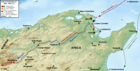 Campagna africana di Scipione 204-203 aC