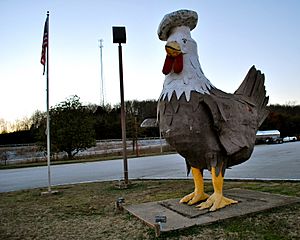 Chicken in Elkton, Tennessee