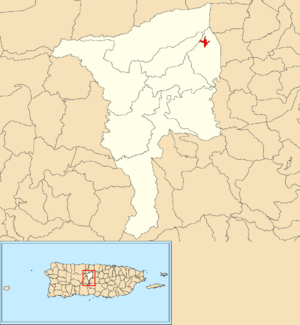 Location of Ciales barrio-pueblo within the municipality of Ciales shown in red