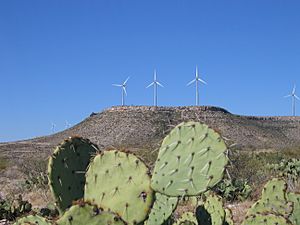 Desert-Sky-Wind-Farm