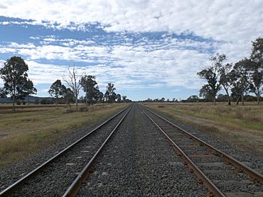 Main Line railway Lanefield, Queensland.jpg
