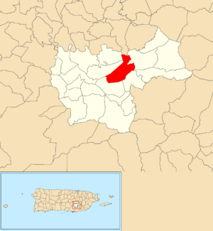 Location of Monte Llano within the municipality of Cayey shown in red
