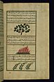 Muhammad ibn Muhammad Shakir Ruzmah-'i Nathani - An Eggplant, a Plant Called Parsiyavushan, and Dungwort - Walters W659225B - Full Page