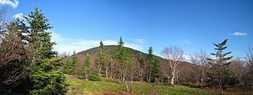 Spring view of Thomas Cole Mountain.jpg