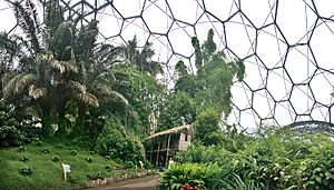 The Tropical Biome