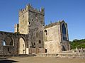 Tintern Abbey (Co. Wexford)