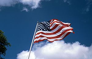 USA Flag 1992