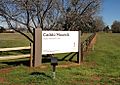 Caddo Mound Site TX