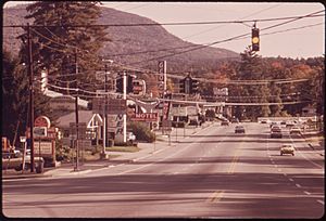 ENTRANCE TO LAKE GEORGE VILLAGE, IN THE ADIRONDACK FOREST PRESERVE IS CLUTTERED WITH POWER LINES AND SIGNS - NARA - 554709